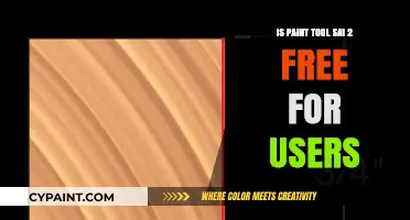 Is Paint Tool SAI 2 Free? Exploring User Access and Costs
