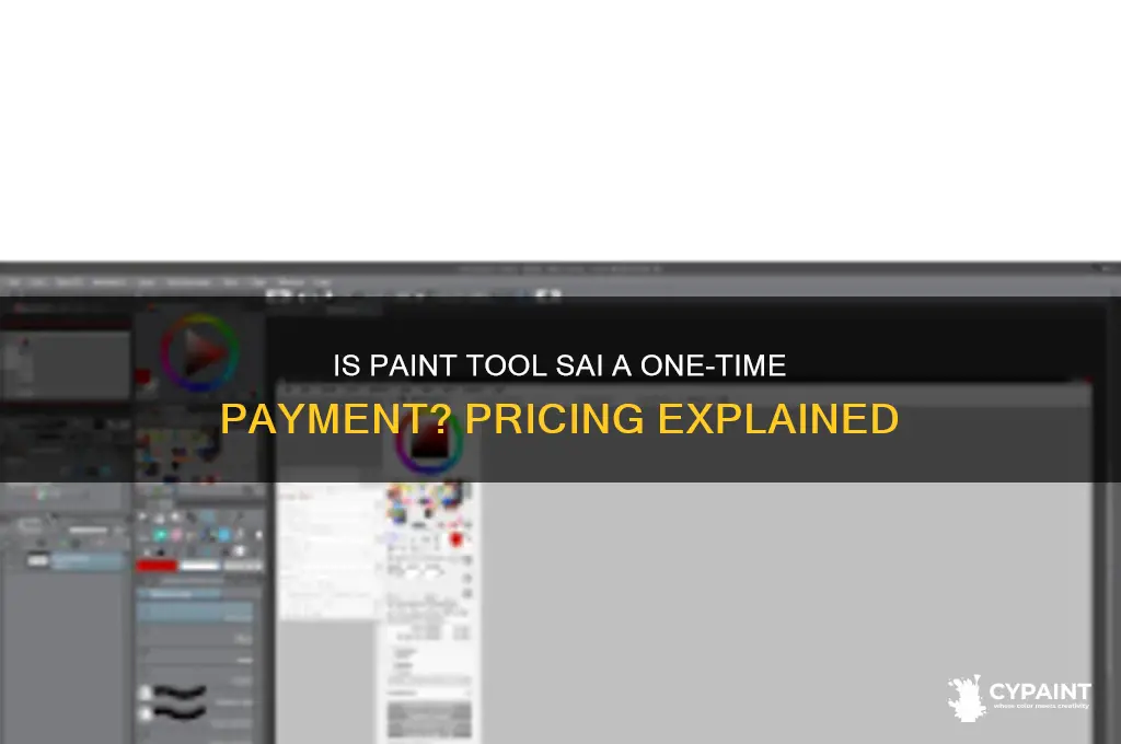 is paint tool sai a one time payment
