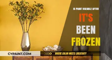 Can Frozen Paint Be Used? Tips for Salvaging Thawed Paint