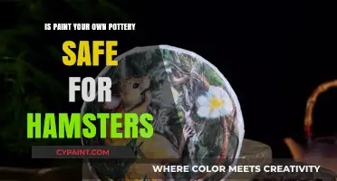Is Paint Your Own Pottery Hamster-Safe? A Pet Owner's Guide