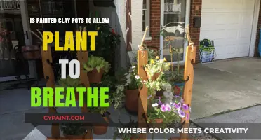 Clay Pots: Let Your Plants Breathe