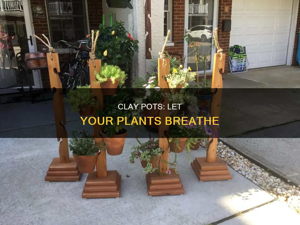 is painted clay pots to allow plant to breathe