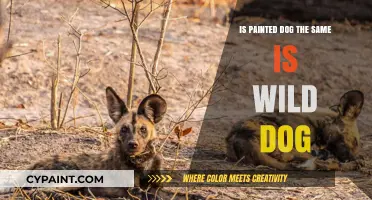 Painted Dogs vs. Wild Dogs: Unraveling the Differences and Similarities