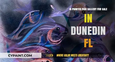 Painted Fish Gallery: Dunedin's Artistic Treasure for Sale?