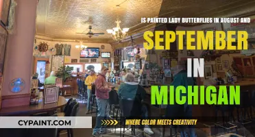 Michigan's Painted Ladies: A Late Summer and Early Fall Delight