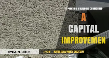 Painting a Building: Capital Improvement or Routine Maintenance?
