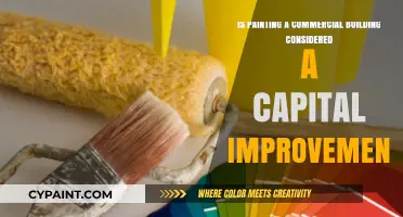 Painting Commercial Buildings: Capital Improvement or Not?