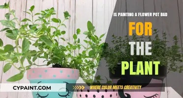 Painted Flower Pots: Harmful or Harmless?