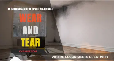 Painting Rental Spaces: Wear and Tear?