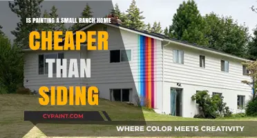 Painting vs Siding: Which is More Affordable for Small Ranches?
