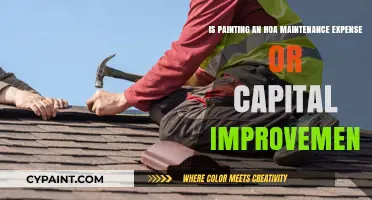 HOA Maintenance vs Capital Improvement: Painting Expense Explained