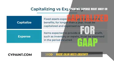 Understanding GAAP: Painting Costs and Capitalization Rules