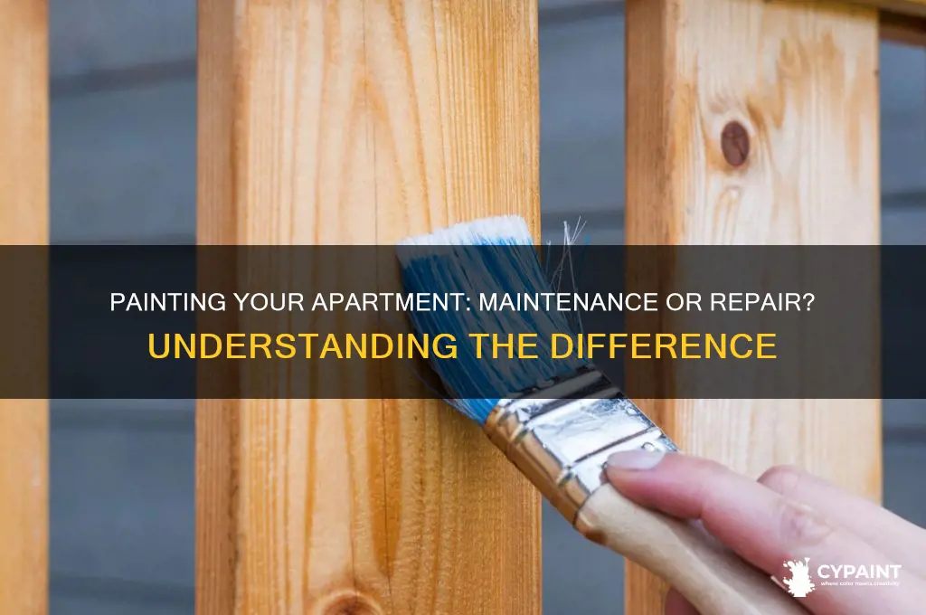 is painting of apartment considered maintenance or repair