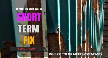 Painting Over Rust: A Short-Term Solution or Costly Mistake?