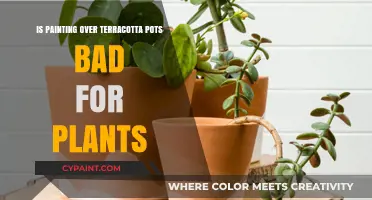 Painting Terracotta Pots: Harmful to Plants or Creative Gardening?