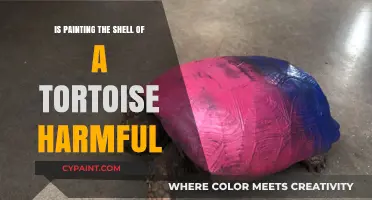 Painting Tortoise Shells: Harmful Trend or Harmless Custom?