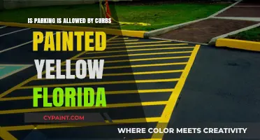 Parking Rules in Florida: Understanding Curb Colors