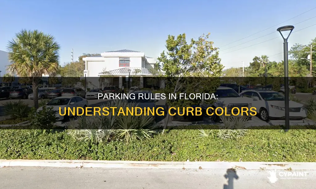 is parking is allowed by curbs painted yellow florida