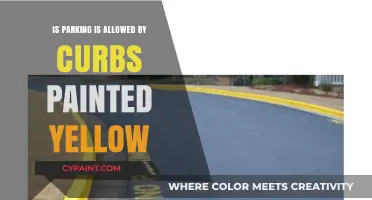 Yellow Curb Parking Rules: Understanding Restrictions and Legalities