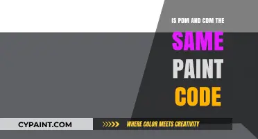 PDM vs CDM Paint Codes: Understanding the Key Differences
