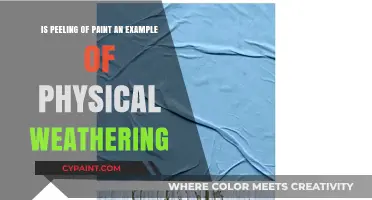 Paint Peeling: Physical Weathering in Action