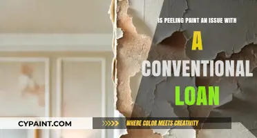 Peeling Paint: Conventional Loan Property Red Flags