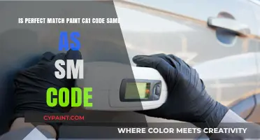 Decoding Paint Codes: Is Perfect Match CA1 the Same as SM Code?