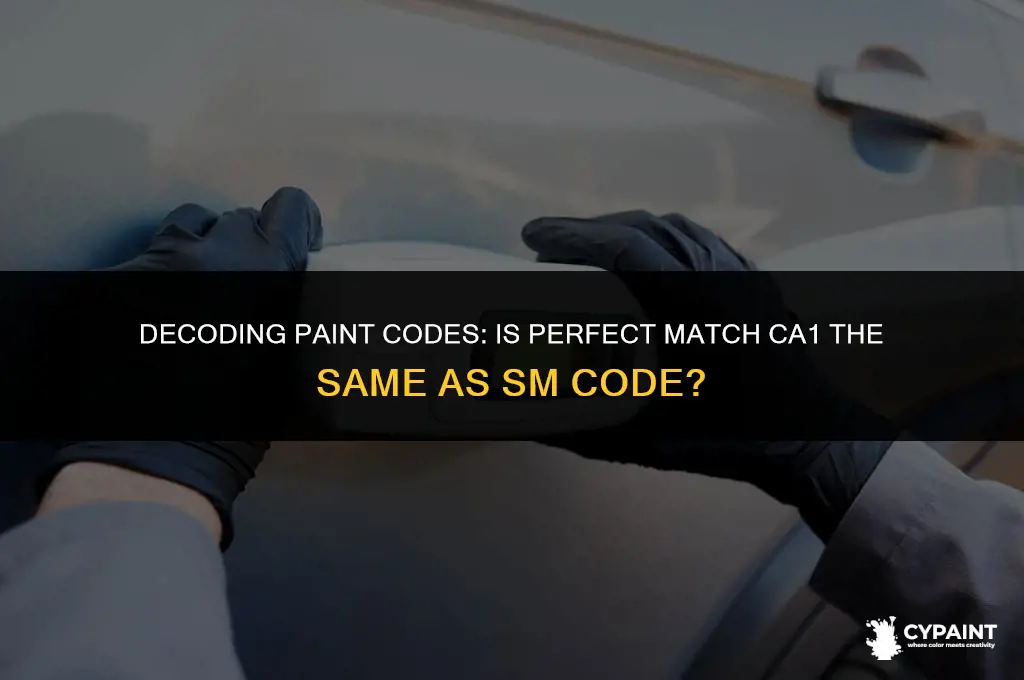 is perfect match paint ca1 code same as sm code