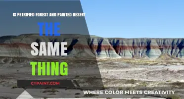 Petrified Forest vs. Painted Desert: What's the Difference?