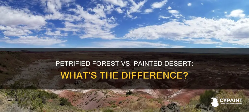 is petrified forest and painted desert the same thing