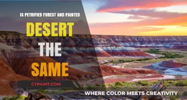Petrified Forest vs. Painted Desert: Unraveling the Differences and Similarities