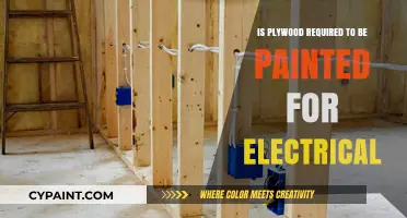Plywood Painting for Electrical Safety: Is It Necessary?