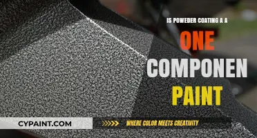 Powder Coating vs. One-Component Paint: Understanding the Key Differences