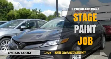 Predawn Gray Mica 3-Stage Paint Job: Is It Worth the Investment?