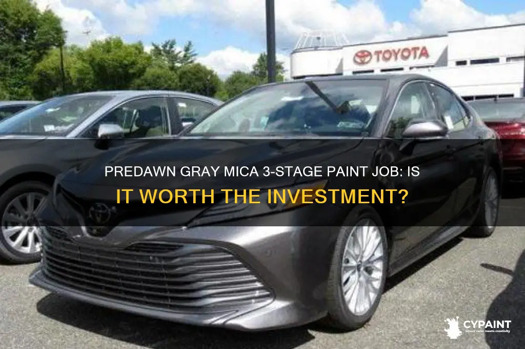 is predawn gray mica 3 stage paint job