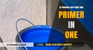 Promar 200: Paint and Primer in One? Unveiling the Truth
