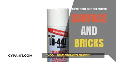 Pyrethrin Safety: Protecting Painted Surfaces and Brick Structures Effectively