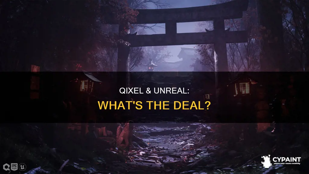 is qixel painting included in unreal or just megascans
