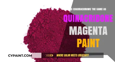 Quadrachrome vs. Quinacridone Magenta: Unraveling the Paint Color Mystery