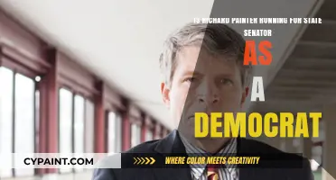 Richard Painter's Potential Democratic Run for State Senate