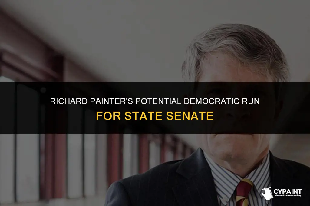 is richard painter running for state senator as a democrat