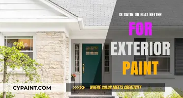 Satin vs. Flat Exterior Paint: Which Finish Suits Your Home Best?