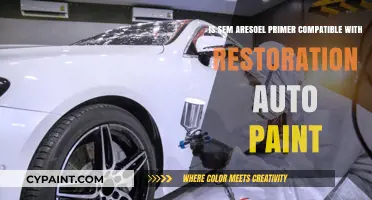 SEM Primer: Friend or Foe to Restoration Auto Paint?