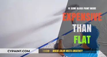 Semi-Gloss vs. Flat Paint: Which Costs More for Your Project?