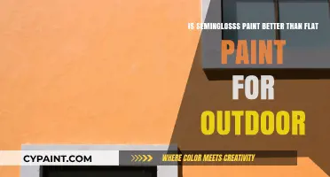 Semigloss vs Flat Paint: Which is Best for Outdoors?