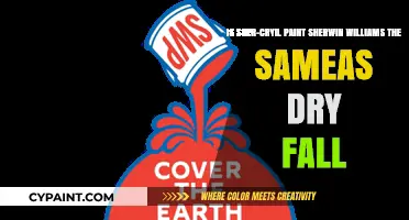 Unveiling the Truth: Sher-Cryil vs. Sherwin-Williams Dry Fall Paint