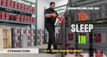 Is Sherwin-Williams Paint Safe for Bedroom Use? Sleep Concerns Explained