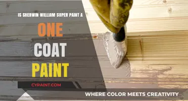 Super Paint by Sherwin-Williams: One Coat Wonder?