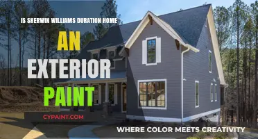 Is Sherwin Williams Duration Home Ideal for Exterior Painting?