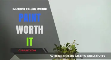 Is Sherwin Williams Emerald Paint Worth the Investment?